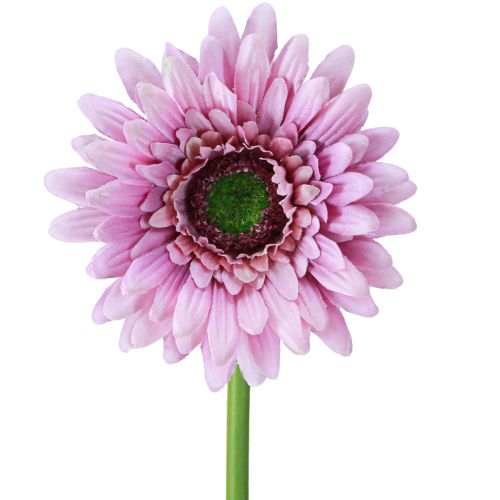 Artikel Kunstige Blomster Gerbera Have Kunstige Blomster Lilla 47cm