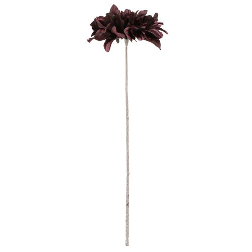 Artikel Kunstig dahlia med store blomster i bordeaux L58cm