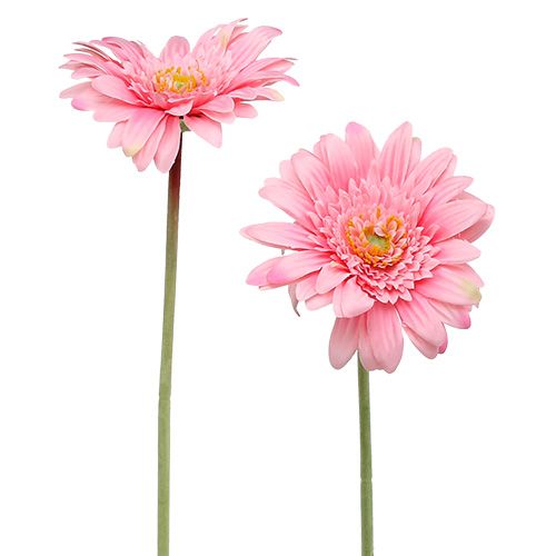 Floristik24 Kunstig gerbera pink Ø10cm L53cm 6stk