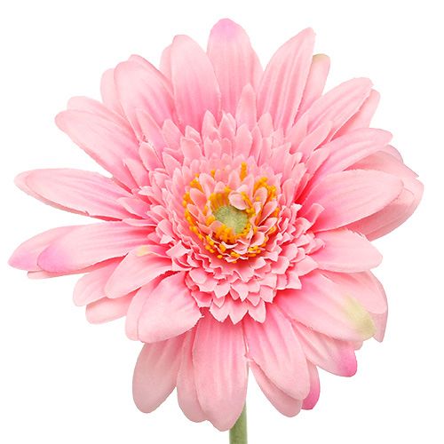 Floristik24 Kunstig gerbera pink Ø10cm L53cm 6stk