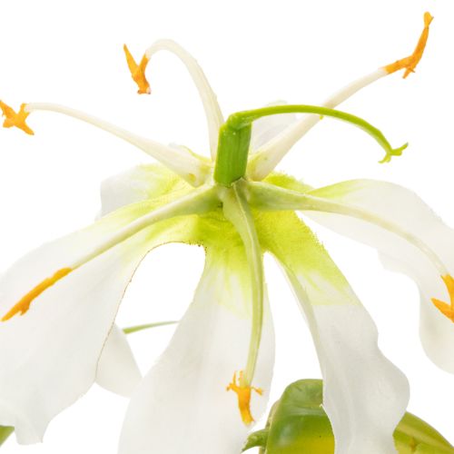 Kunstig Gloriosa-blomst, hvid og gul, elegant blomstrende gren til dekoration, 80 cm, 3 stk. | Floristik24.dk
