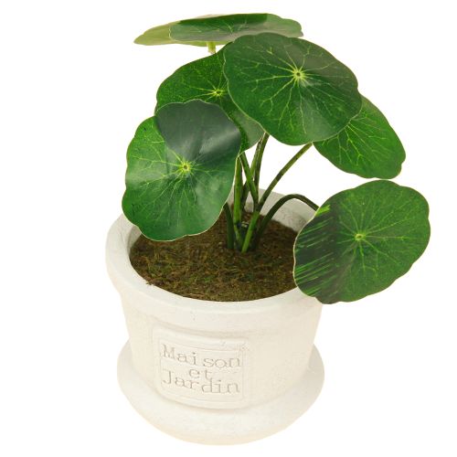 Artikel Kunstige grønne planter miniplanter i potte 15cm 3stk