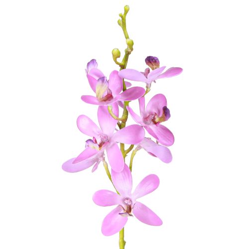 Artikel Kunstige orkideer 8 lilla blomster Ø3,5cm–5cm 2stk