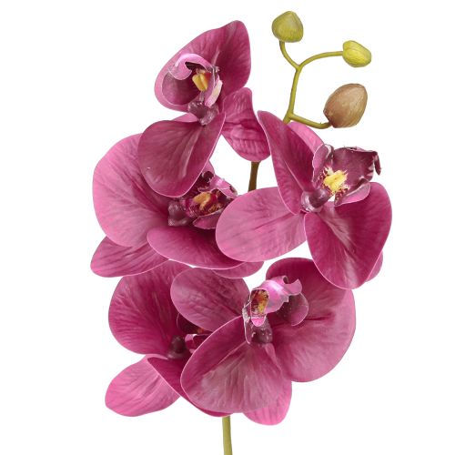 Artikel Kunstige orkideer lilla kunstige blomster som ægte 56cm 3 stk