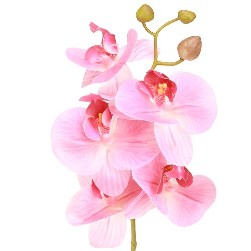 Artikel Kunstige Orkideer Lyserøde Kunstige Blomster Ligesom Ægte 56cm 3 Stk