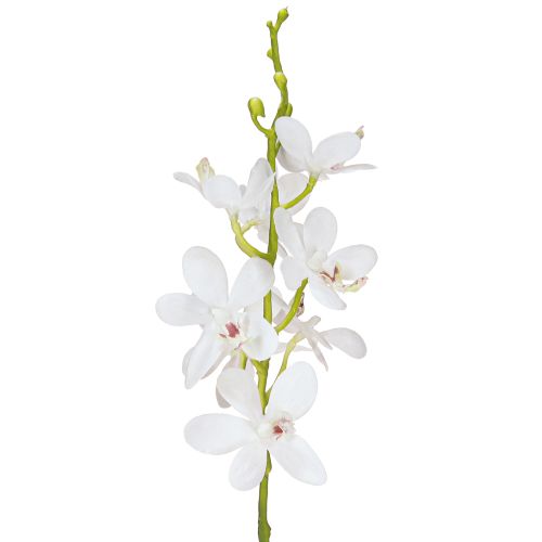 Artikel Kunstige orkideer Hvid Blomst Ø3,5–5cm L38cm 2stk