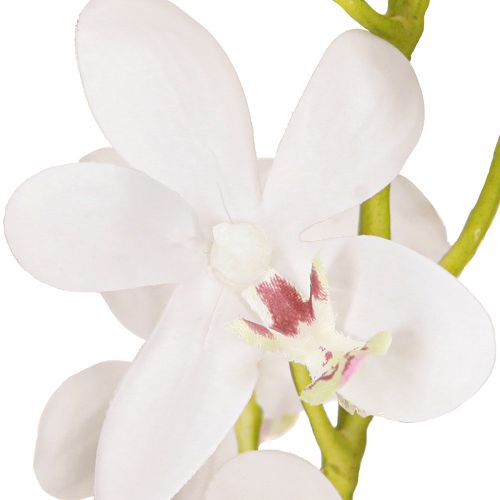 Artikel Kunstige orkideer Hvid Blomst Ø3,5–5cm L38cm 2stk