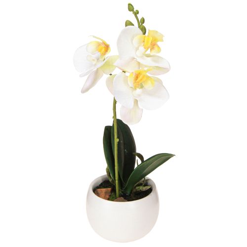 Floristik24 Kunstige orkideer i potte hvide miniorkideer Ø7cm H22cm