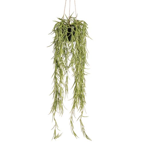 Artikel Kunstig sukkulent hængende plante i sort potte 60 cm - Langtidsholdbar indretning