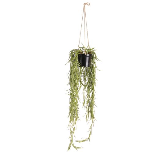 Artikel Kunstig sukkulent hængende plante i sort potte 60 cm - Langtidsholdbar indretning