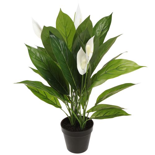 Floristik24 Kunstig potteplante Single Leaf Peace Lily Grøn Hvid 55cm