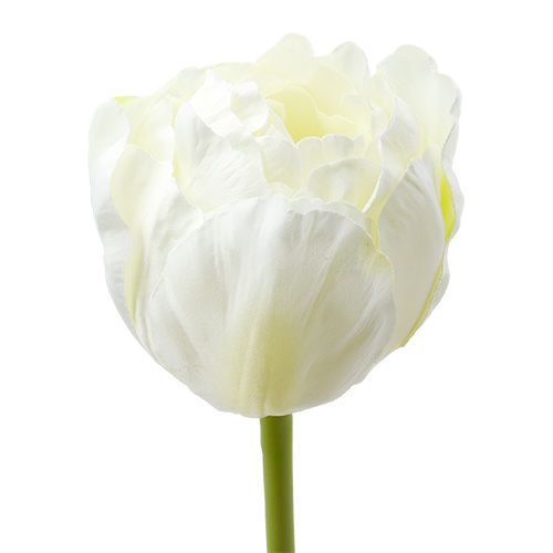 Floristik24 Kunstige tulipaner hvidgrøn 86 cm 3stk