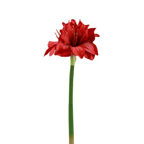 Floristik24 Kunstig Amaryllis Juleblomster Røde Kunstige Blomster L40cm