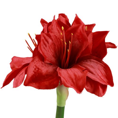 Floristik24 Kunstig Amaryllis Juleblomster Røde Kunstige Blomster L40cm