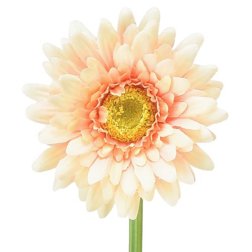 Artikel Kunstige blomster Gerbera Abrikos 47cm