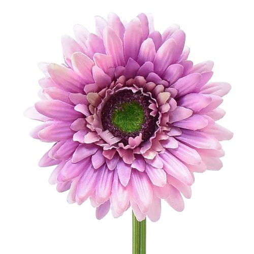 Kunstige blomster Gerbera Lilla 47cm