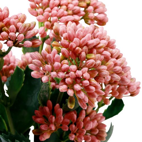 Artikel Kunstig Fed Høne Sedum Stenkorn blomstrende pink 47cm 3stk