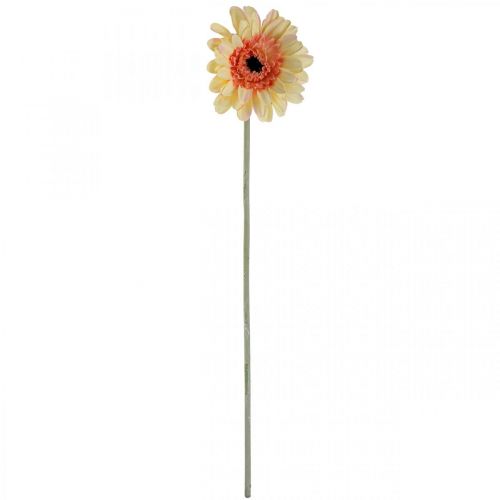 Artikel Kunstig gerbera blomst kunstig blomst abrikos Ø11cm L50cm