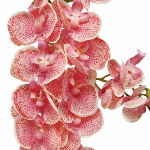 Kunstige orkideer deco kunstig blomst orkidé pink 71cm