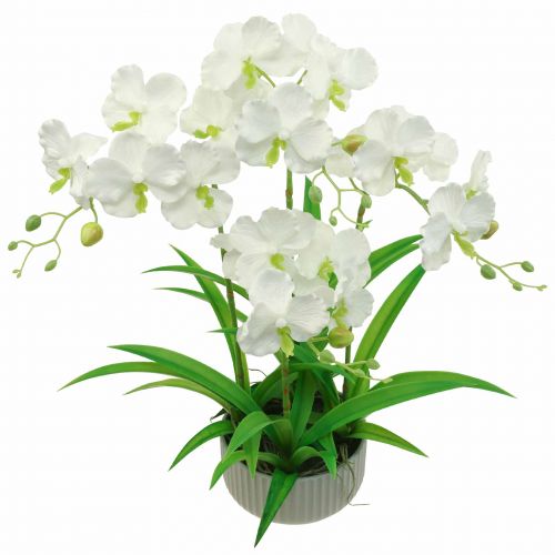 Floristik24 Kunstige orkideer kunstige blomster i en potte hvid 60cm