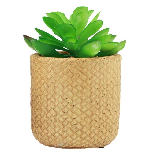 Artikel Kunstige sukkulenter i potte Kunstige planter Assorteret 10cm 3stk