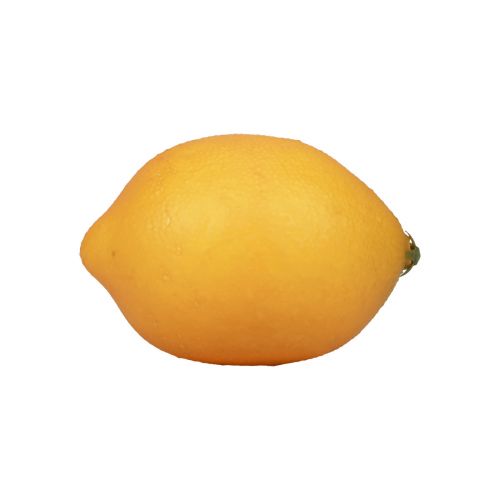 Floristik24 Kunstige citron dekorative maddukker appelsin 8,5 cm