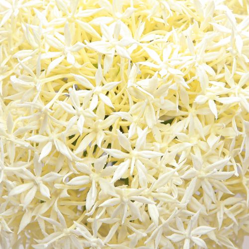 Artikel Kunstig Allium Cremehvid Prydløg Ø18cm L90cm