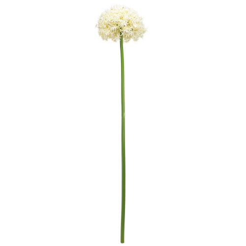 Artikel Kunstig Allium Cremehvid Prydløg Ø18cm L90cm