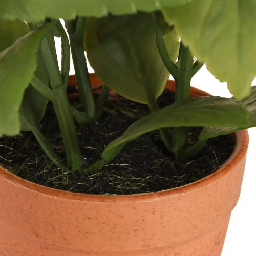 Artikel Kunstig Basilikum i Potte Urtepotte Kunstig Plante 22cm 2stk