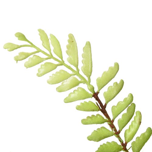 Artikel Kunstig bregne dekoration kunstig bregne kunstig plante grøn 42cm