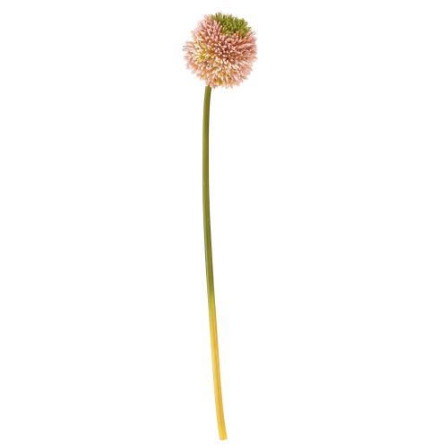 Artikel Kunstig allium prydløg pink grøn Ø10cm L65cm