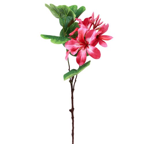 Floristik24 Kunstig orkidégren Bauhinia Lyserød kunstig plante 62cm