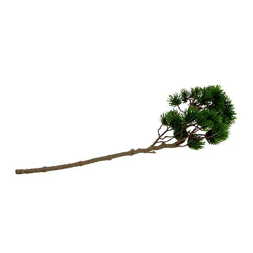 Floristik24 Kunstig fyrretræk, fyrretræk 62cm