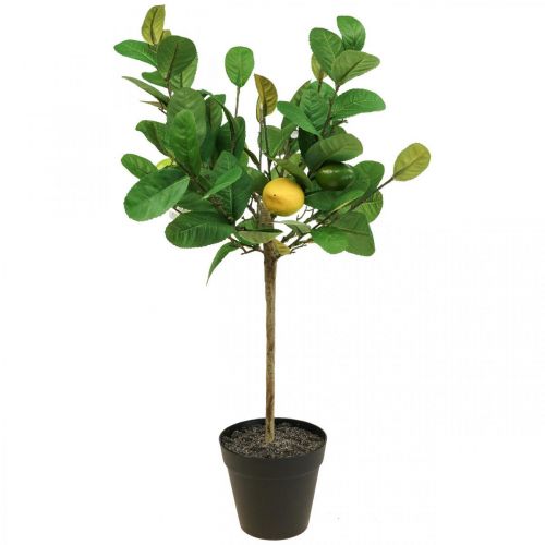 Floristik24 Kunstigt citrontræ i potte Citrontræ H57cm