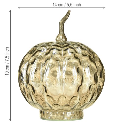 Artikel Græskardekoration glas glas græskar borddekoration efterår Ø14cm H19cm