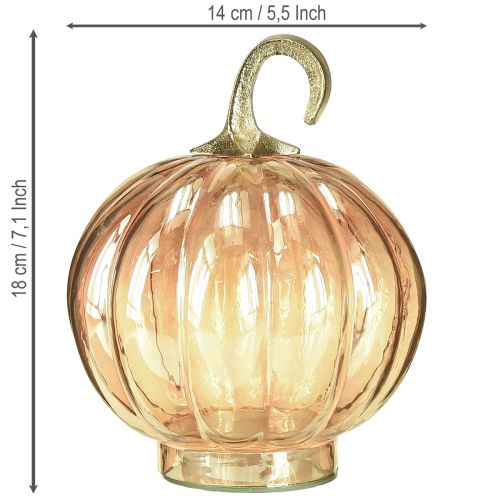 Artikel Græskardekoration i glas glas græskar borddekoration orange Ø14cm H18cm