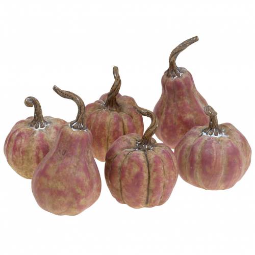 Artikel Mini græskarsæt orange, lilla Ø6,5–7cm 6 stk