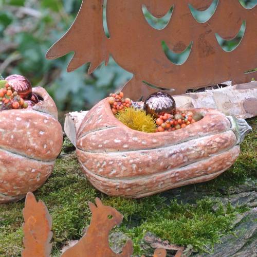 Floristik24 Græskar til plantning Orange 28 × 15 × 14cm