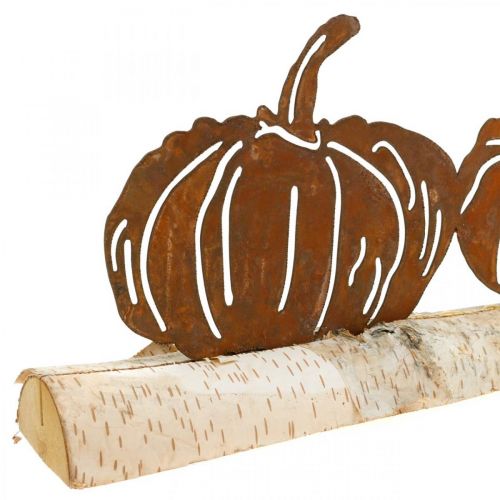 Floristik24 Græskar rust og bark metal dekoration på birketræ 20×5cm H9cm