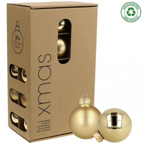 Floristik24 Julekugler glas gylden mat skinnende Ø5,5cm 26stk