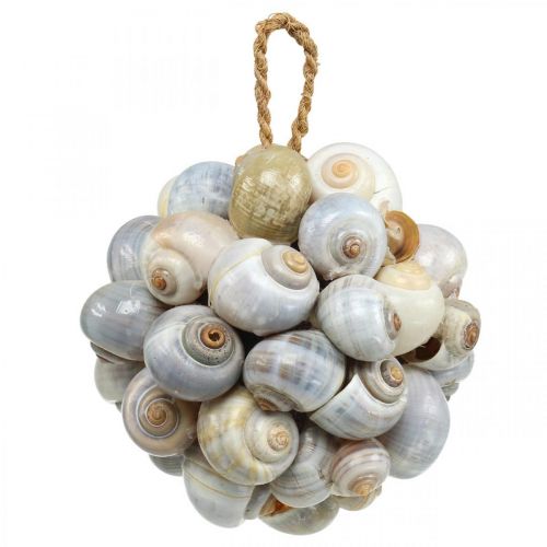 Floristik24 Maritim dekorationskugle havsnegleskalkugle naturdekoration Ø12cm