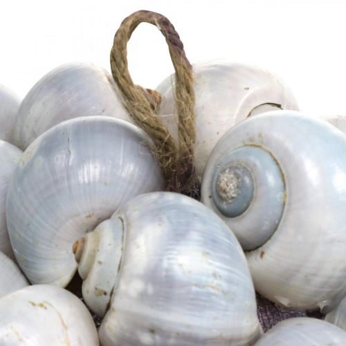 Artikel Dekorativ kugle havsnegle muslingeskallekugle naturlig dekoration maritim Ø19cm