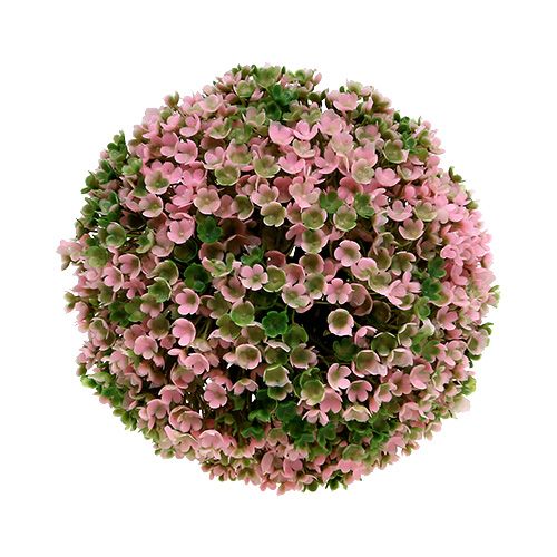 Floristik24 Dekorativ kugle pink grøn kugleplante Ø15cm 1 stk