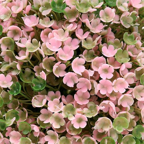 Floristik24 Dekorativ kugle pink grøn kugleplante Ø15cm 1 stk