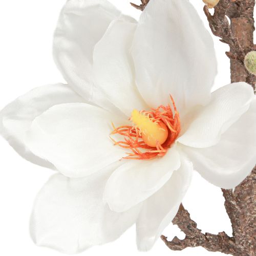 Artikel Kunstige blomstermagnolia grenblomster Ø2–10 cm creme L105 cm