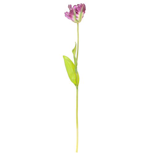 Artikel Kunstig blomster papegøje tulipan kunstig dekorativ tulipan lilla 63cm