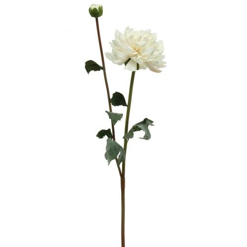 Floristik24 Kunstig blomst Dahlia Hvid Kunstig blomst med knop H57cm
