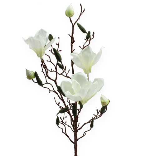Floristik24 Magnolia gren kunstig creme 90 cm