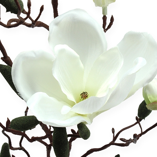 Artikel Magnolia gren kunstig creme 90 cm