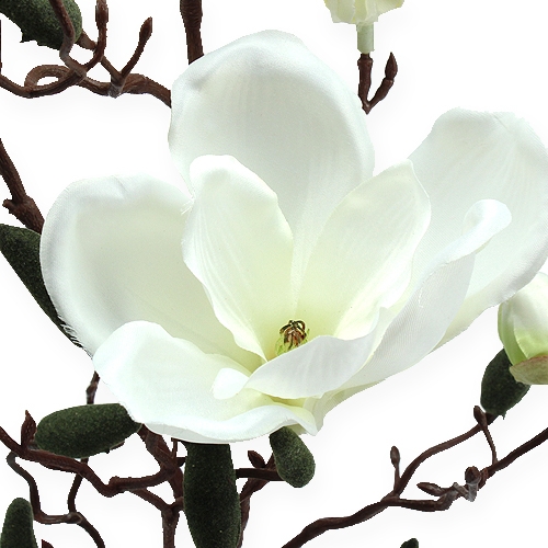 Floristik24 Magnolia gren kunstig creme 90 cm